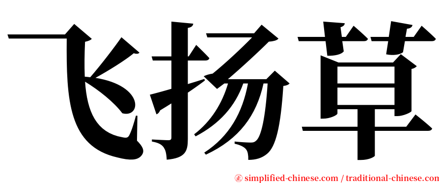 飞扬草 serif font