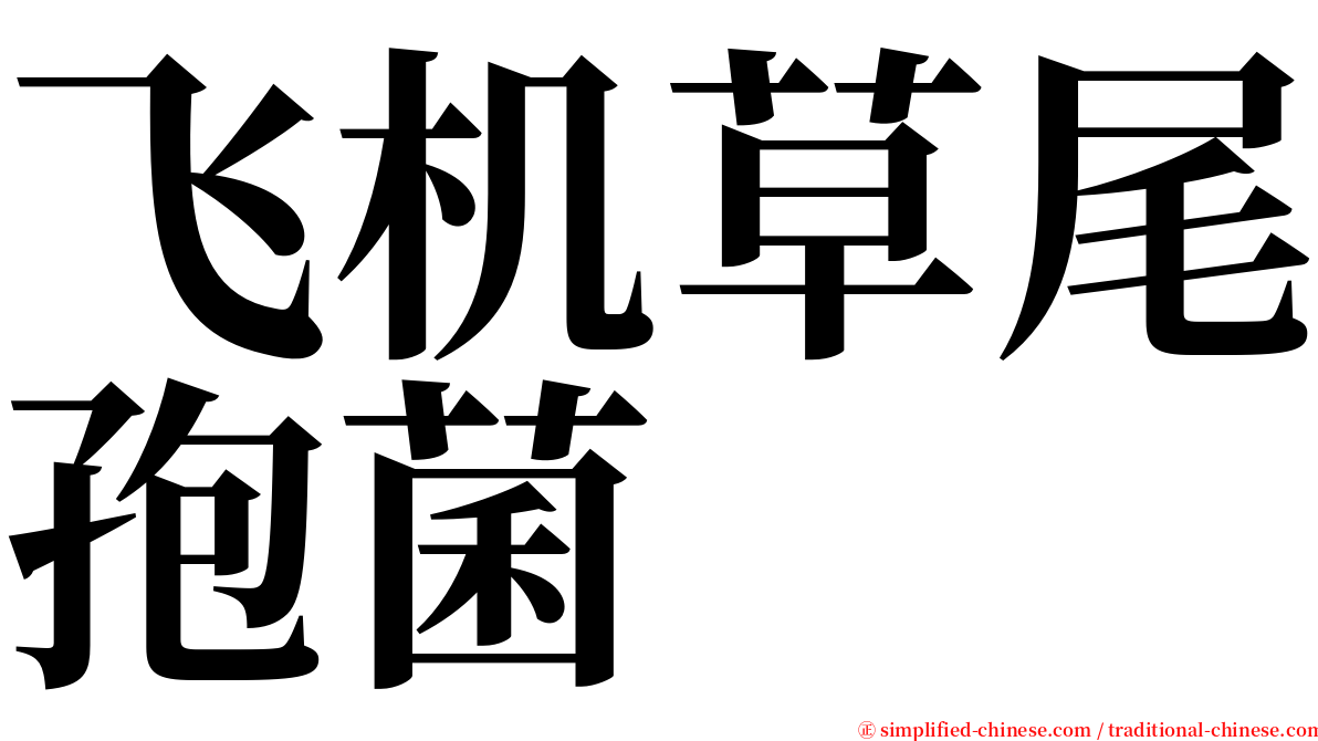 飞机草尾孢菌 serif font