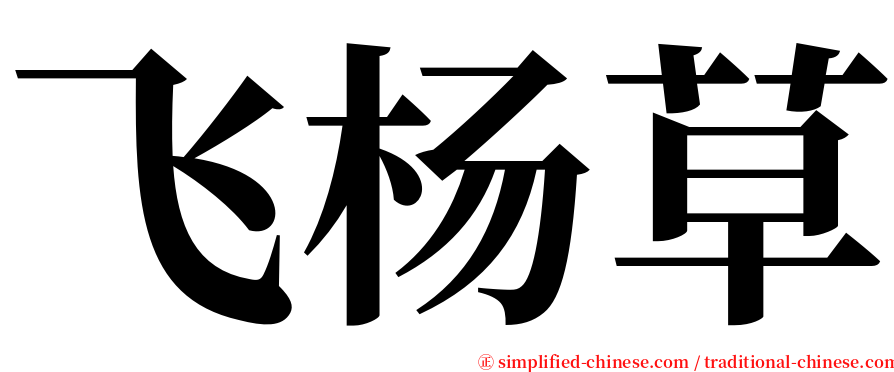 飞杨草 serif font