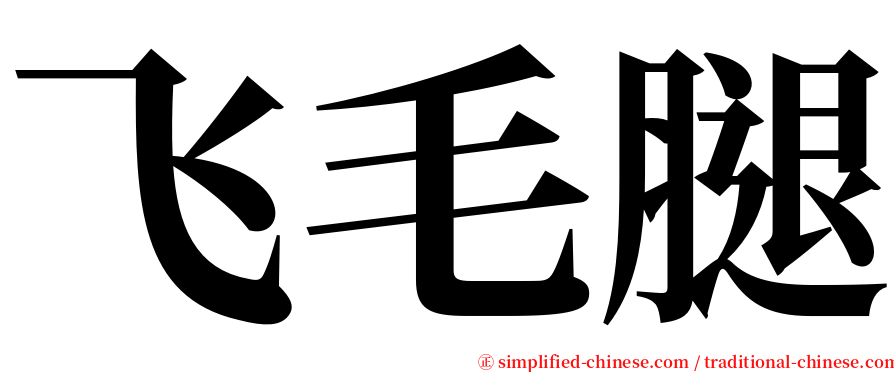 飞毛腿 serif font