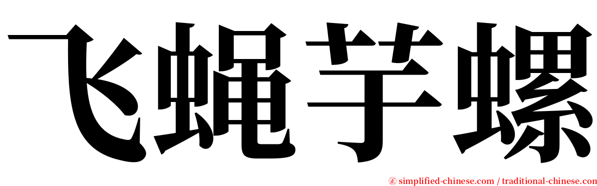 飞蝇芋螺 serif font