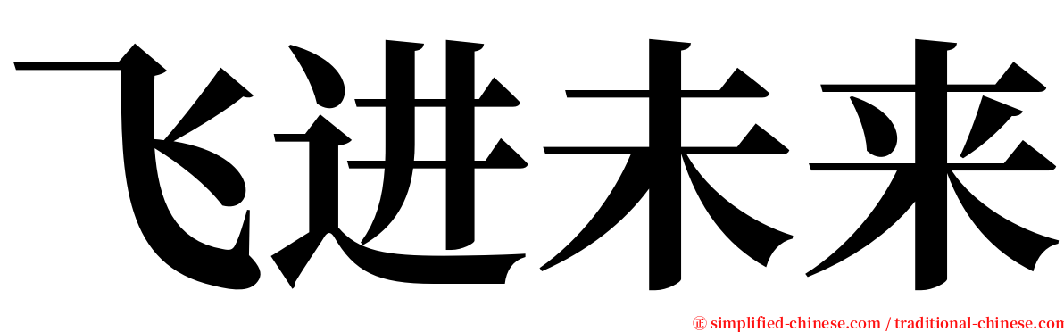 飞进未来 serif font