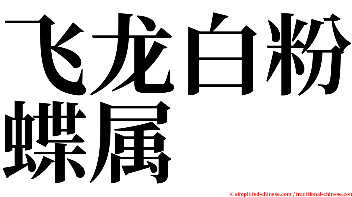 飞龙白粉蝶属 serif font