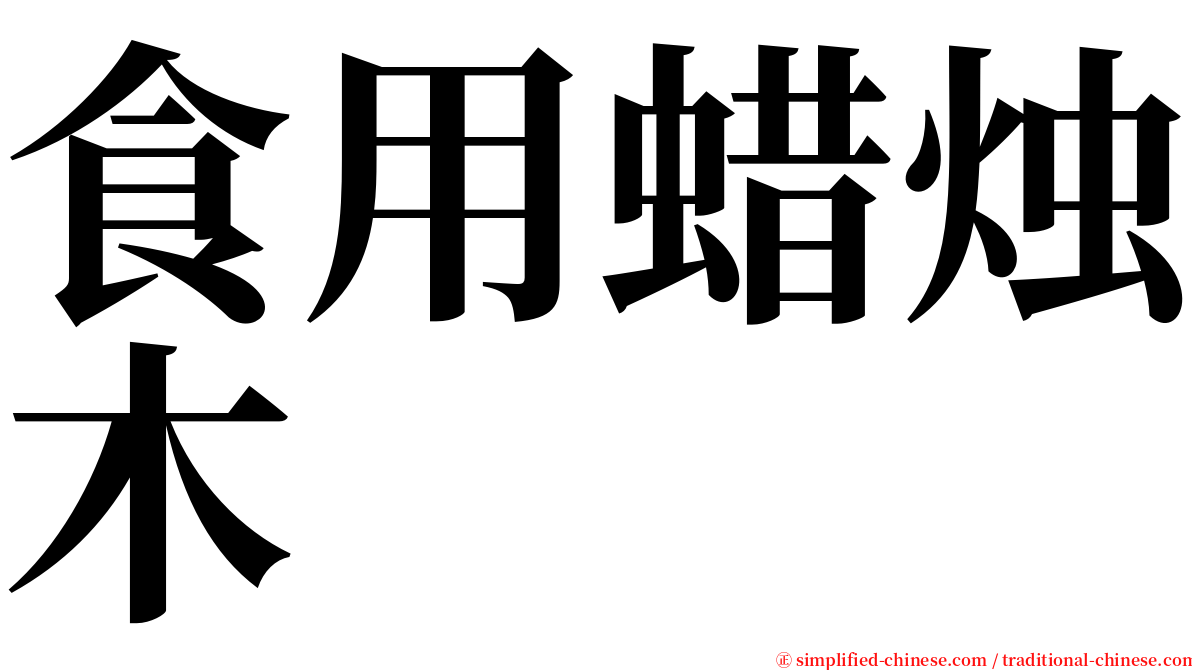 食用蜡烛木 serif font