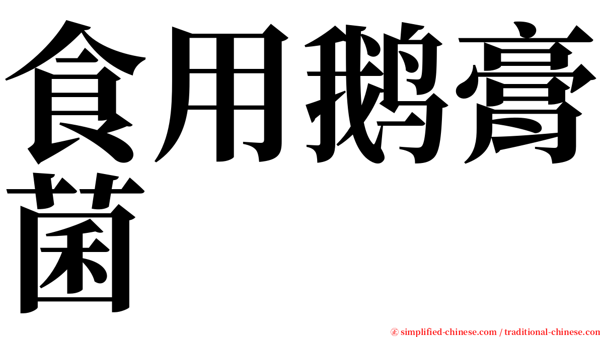 食用鹅膏菌 serif font