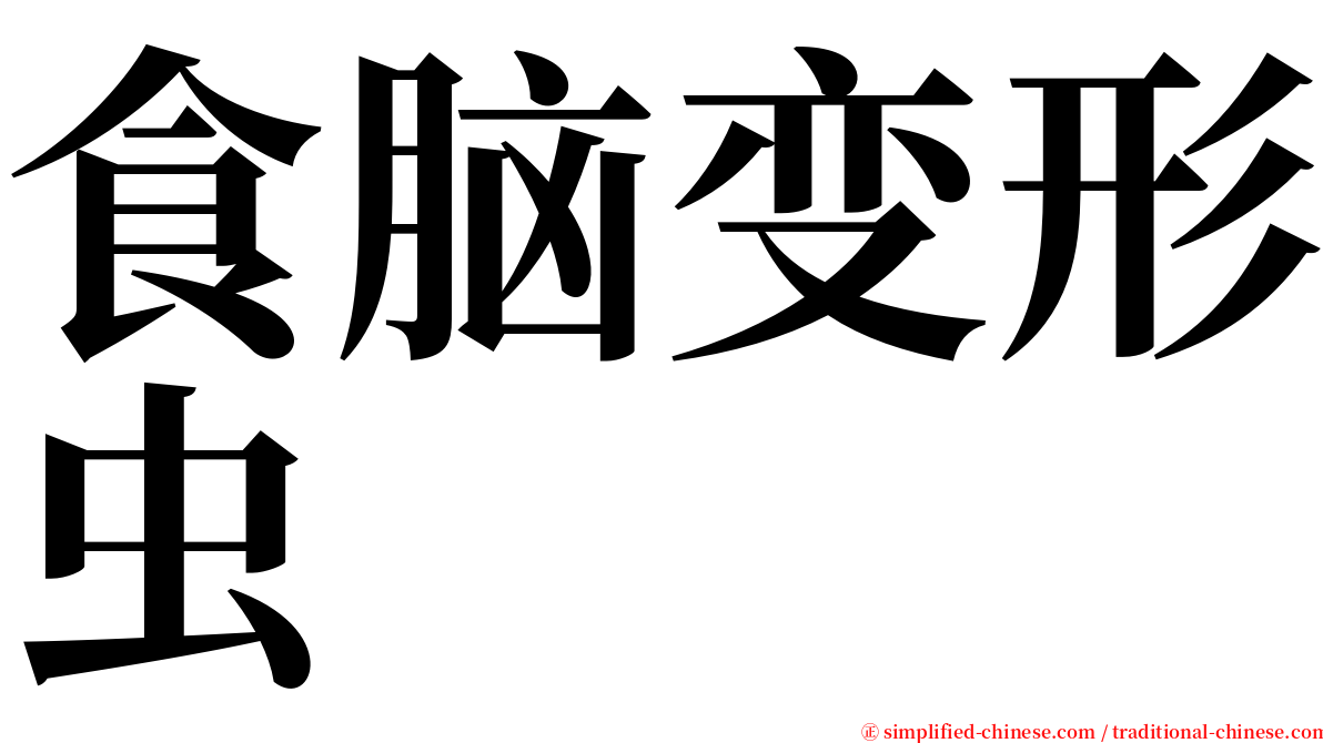 食脑变形虫 serif font