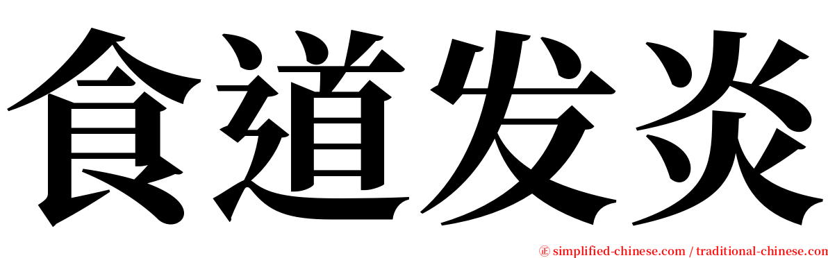 食道发炎 serif font