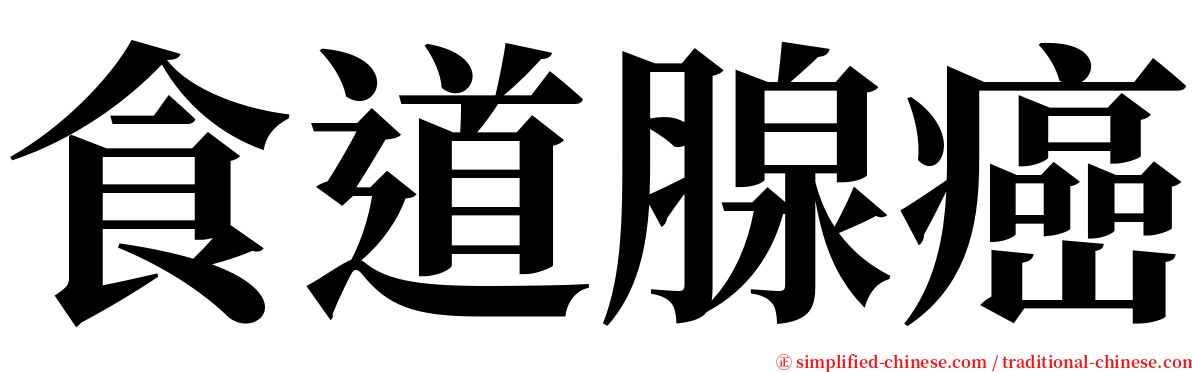 食道腺癌 serif font