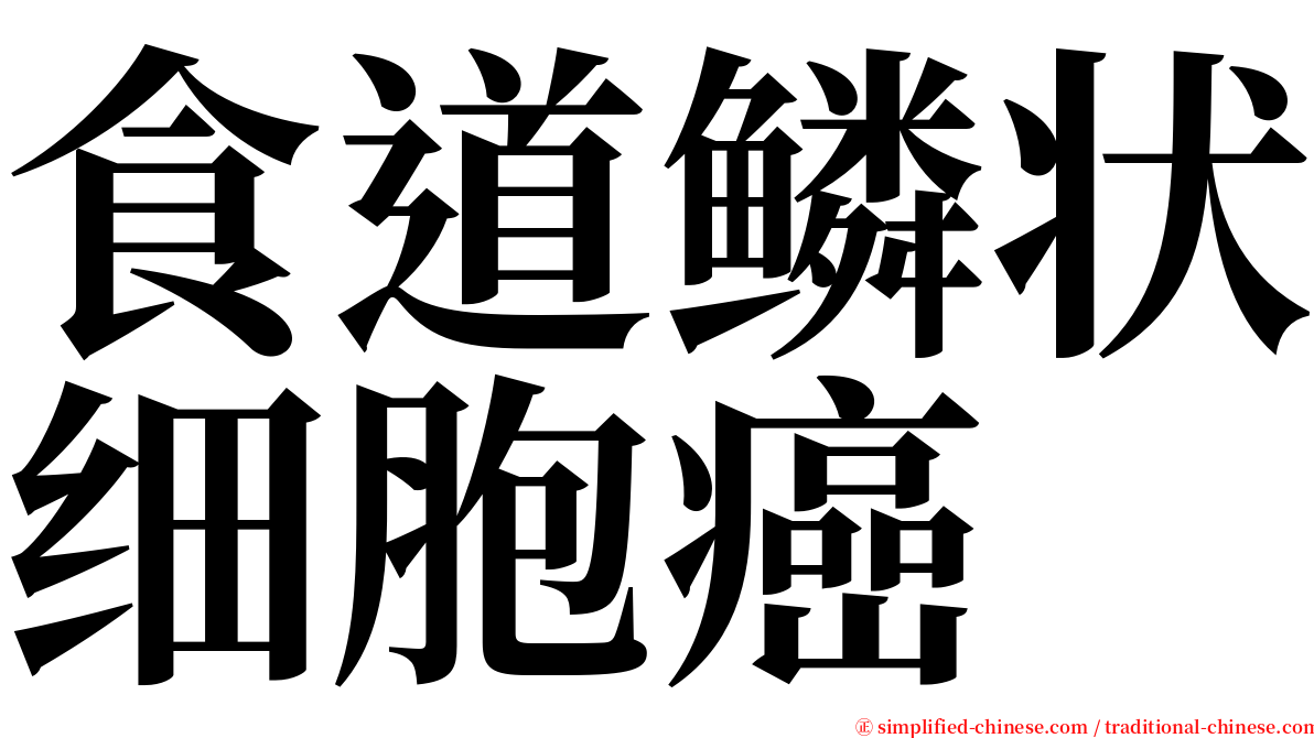 食道鳞状细胞癌 serif font