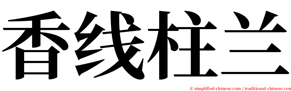 香线柱兰 serif font