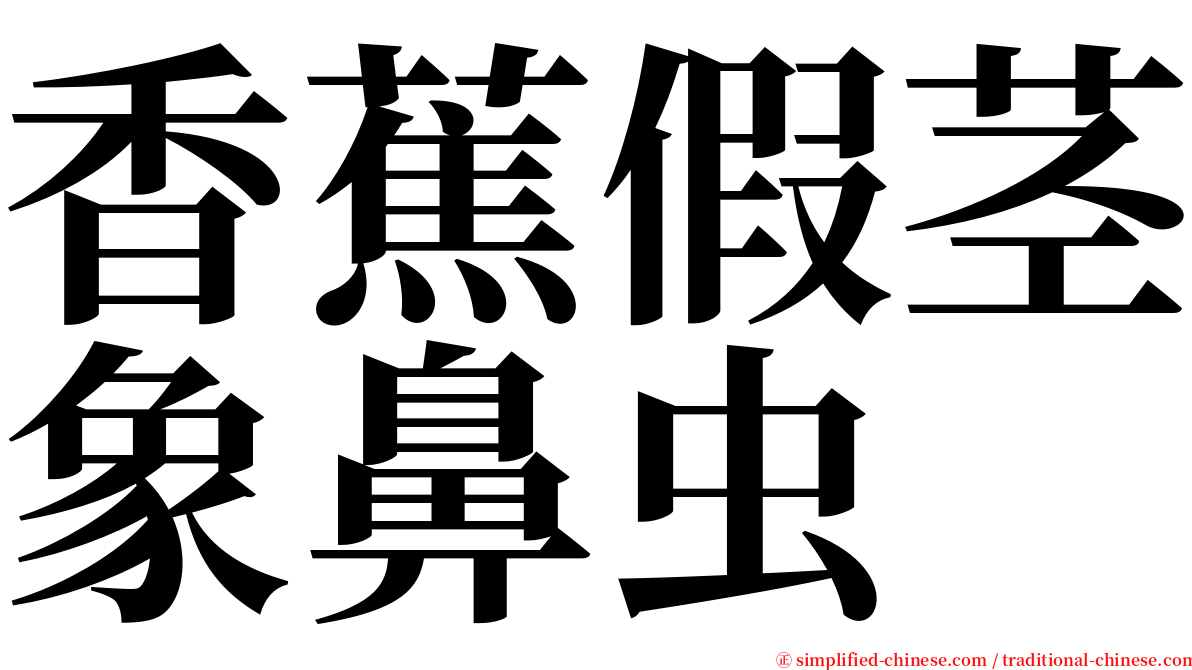 香蕉假茎象鼻虫 serif font