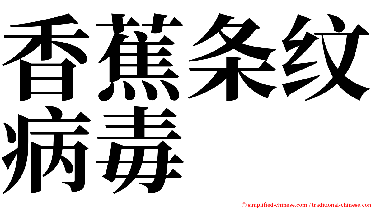 香蕉条纹病毒 serif font