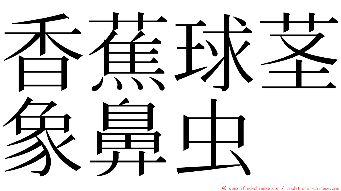 香蕉球茎象鼻虫 ming font