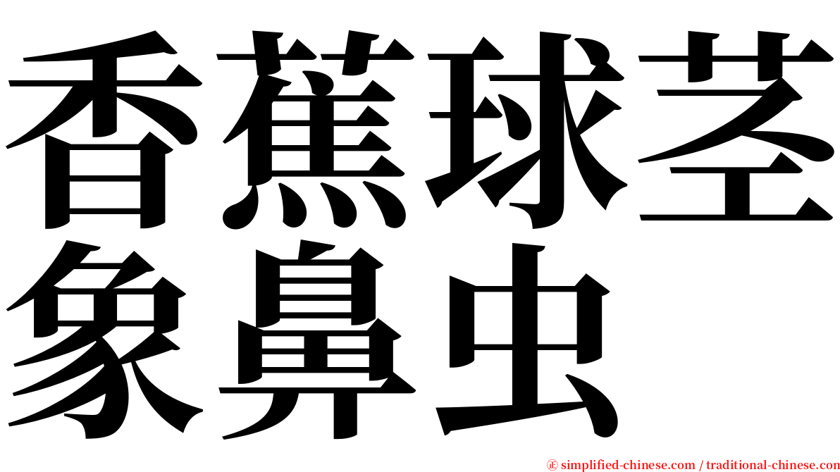 香蕉球茎象鼻虫 serif font