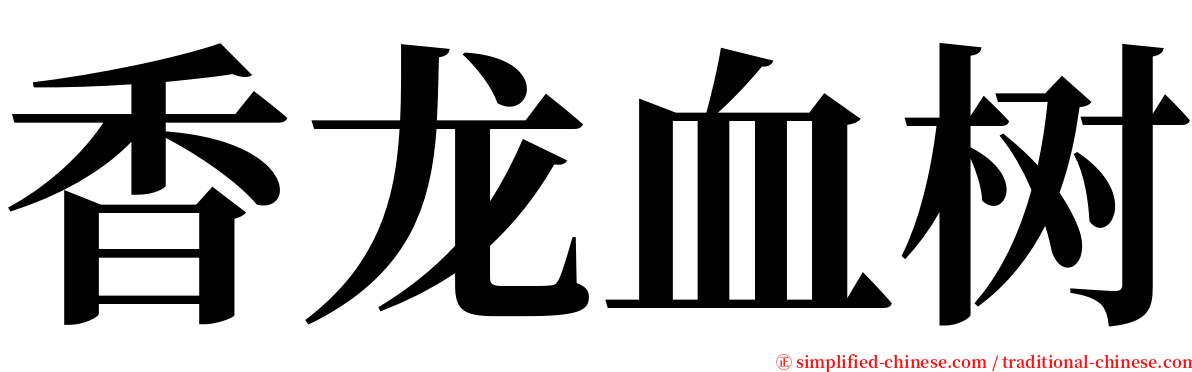 香龙血树 serif font