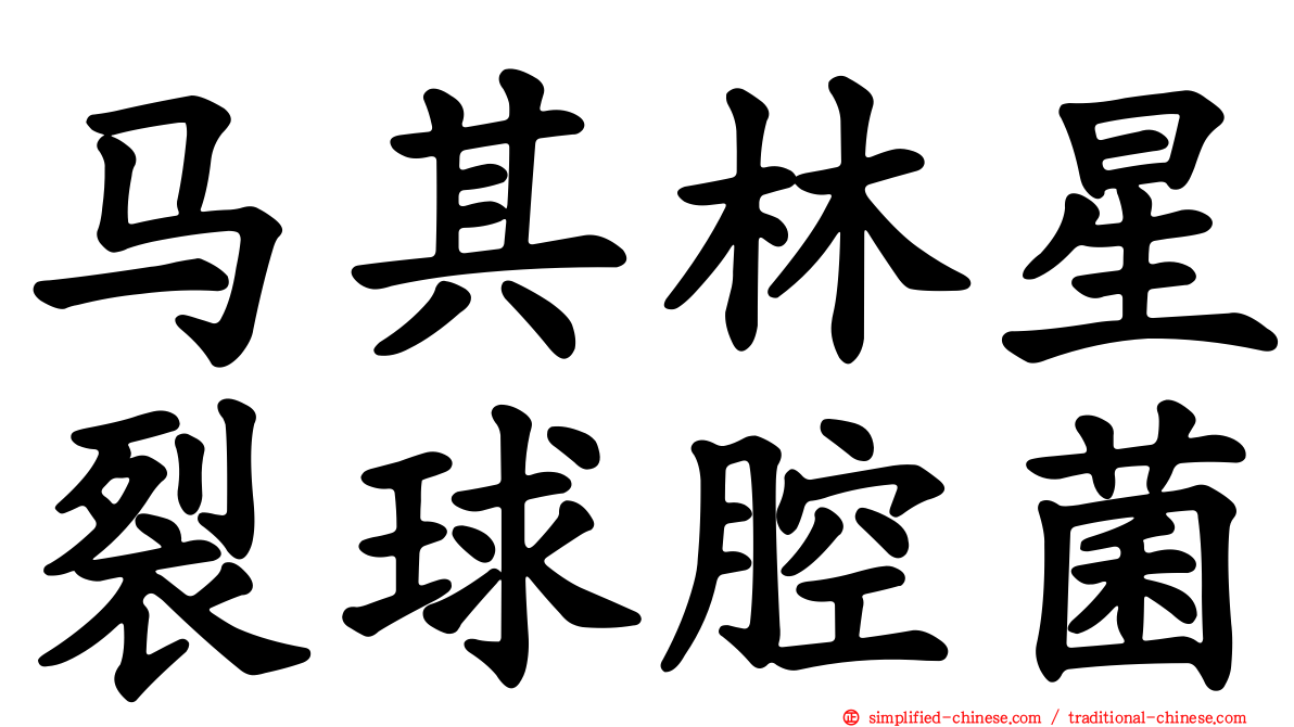 马其林星裂球腔菌