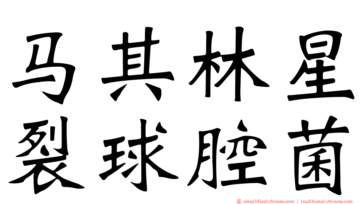 马其林星裂球腔菌