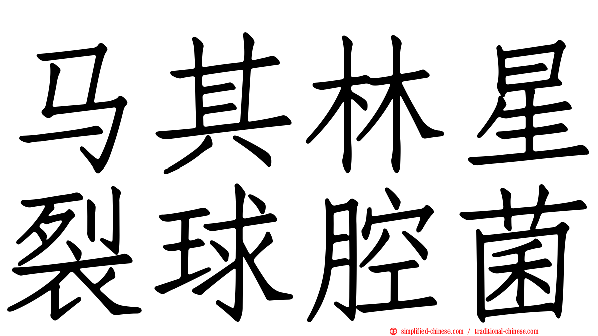 马其林星裂球腔菌