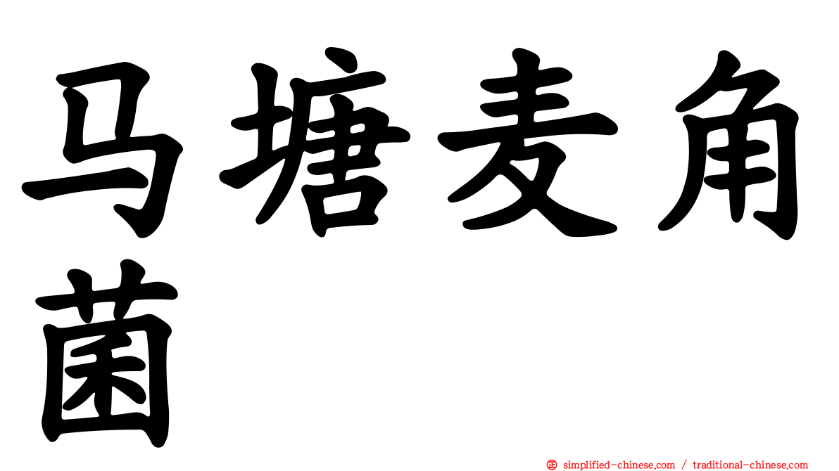 马塘麦角菌