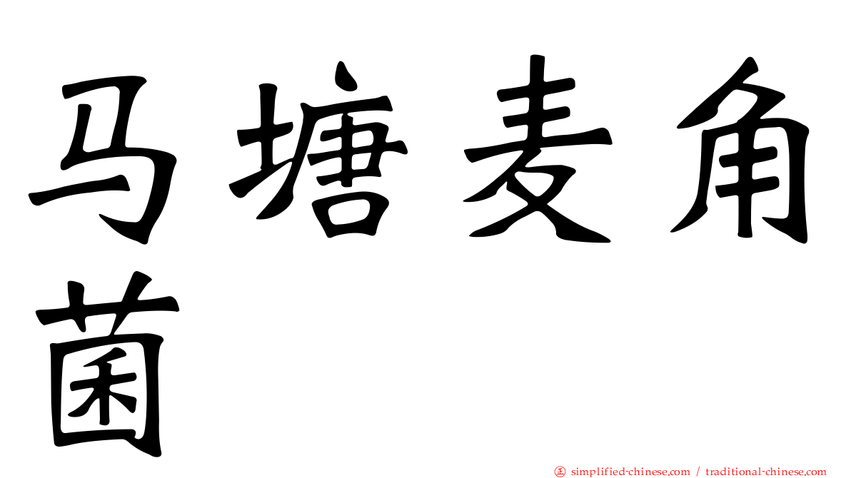 马塘麦角菌