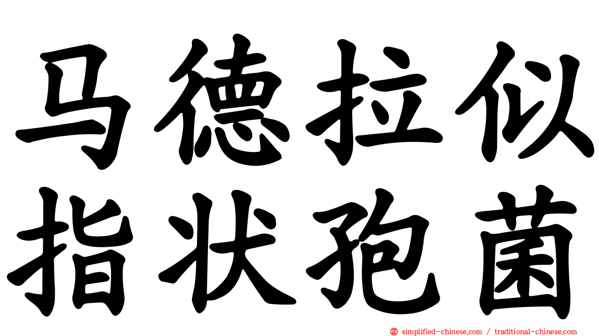 马德拉似指状孢菌