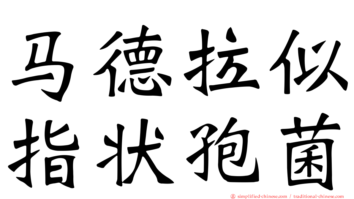 马德拉似指状孢菌