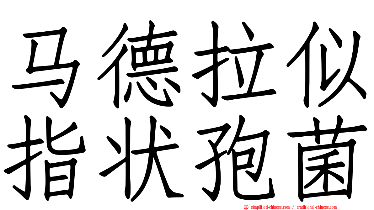 马德拉似指状孢菌