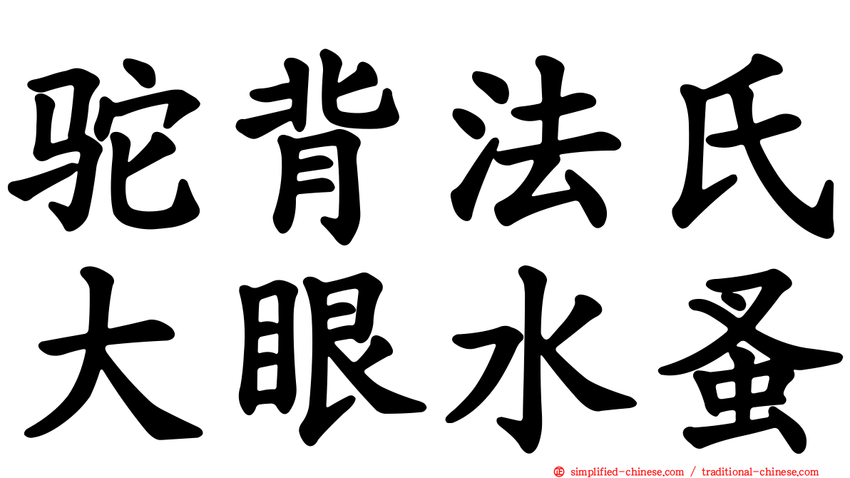 驼背法氏大眼水蚤