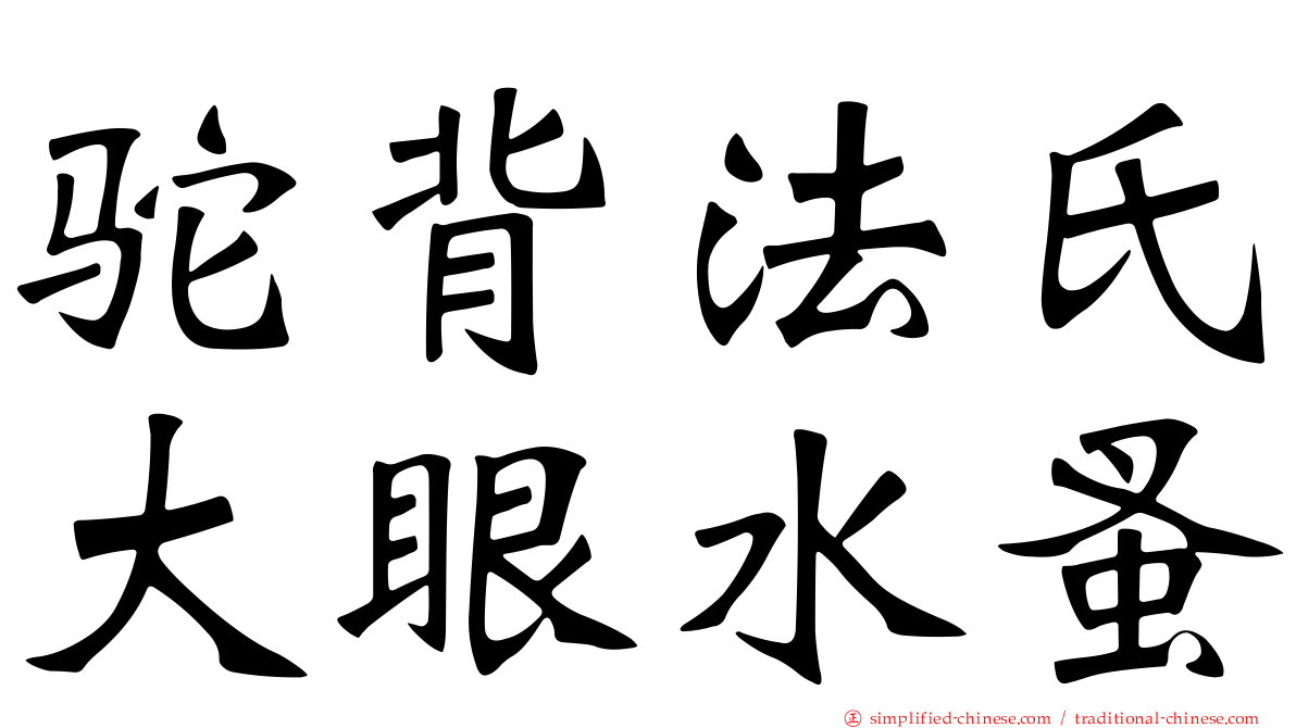 驼背法氏大眼水蚤