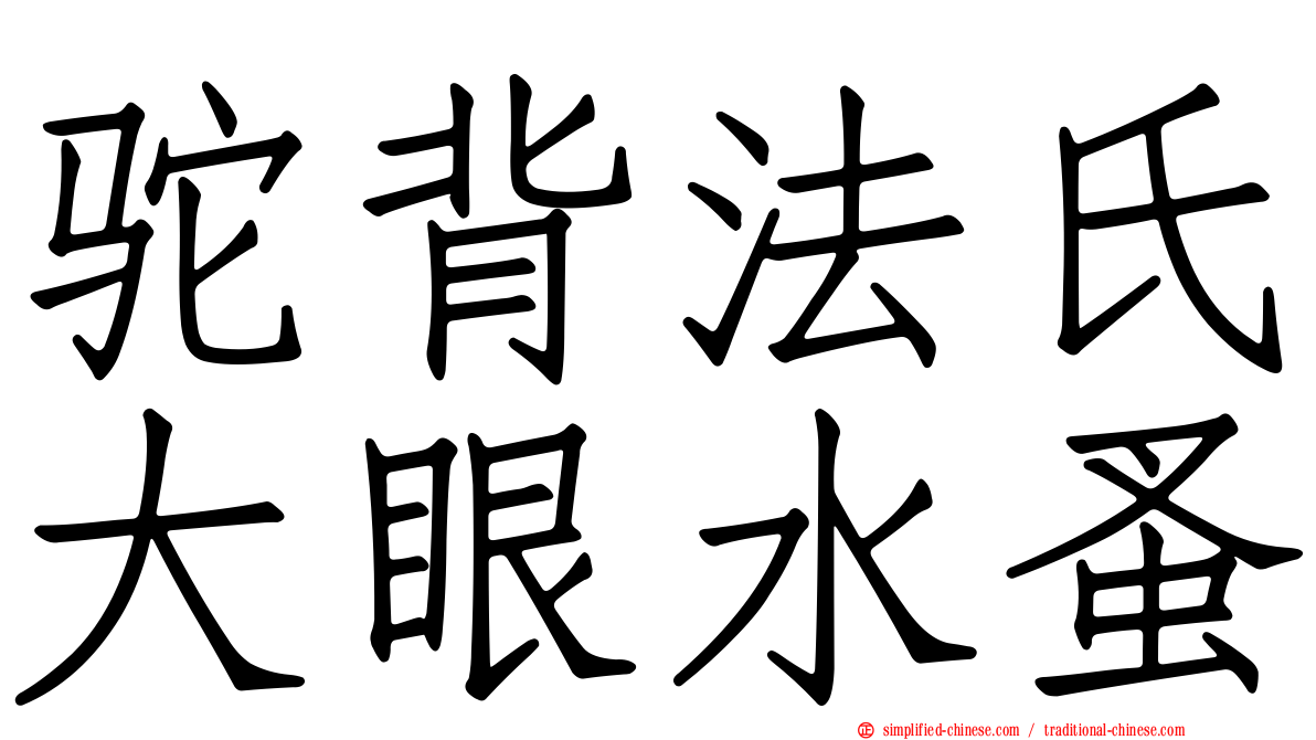 驼背法氏大眼水蚤