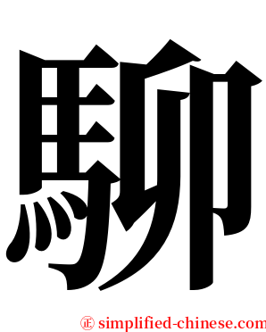 駠 serif font