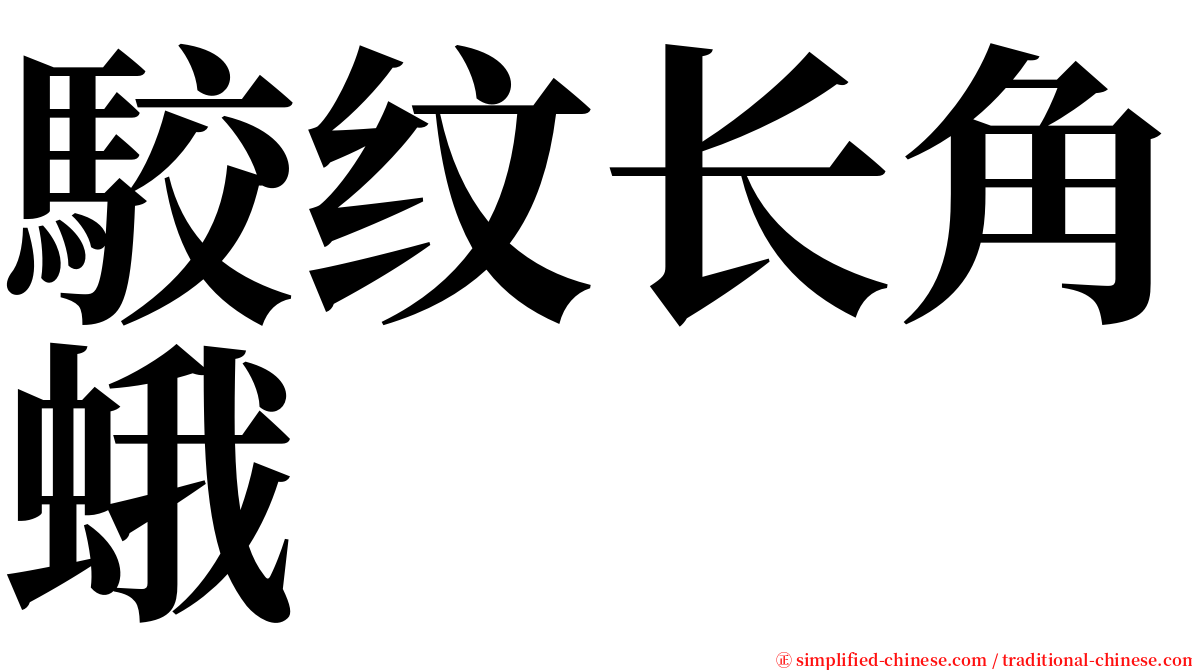 駮纹长角蛾 serif font