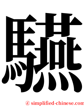 驠 serif font