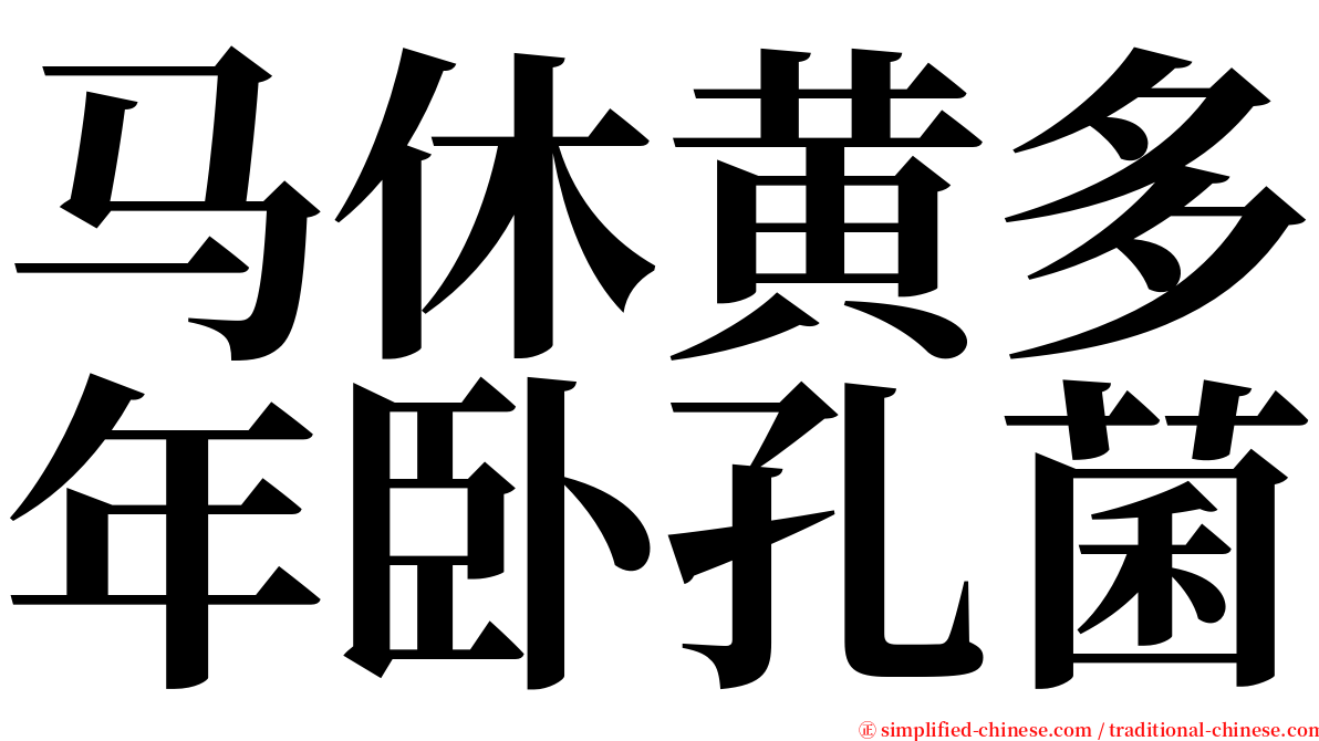 马休黄多年卧孔菌 serif font