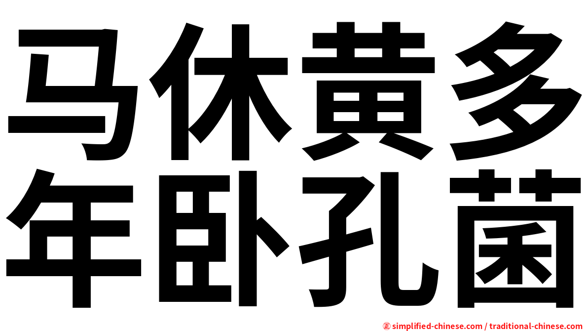 马休黄多年卧孔菌