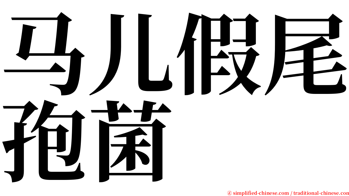 马儿假尾孢菌 serif font