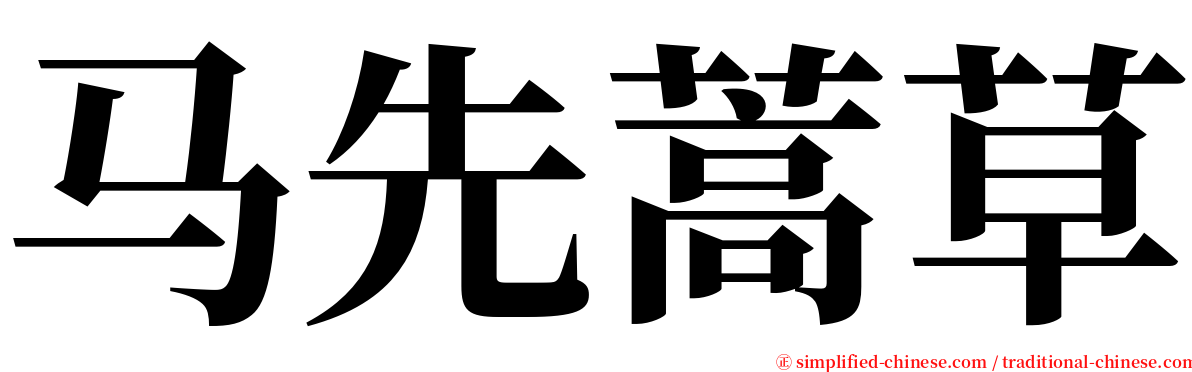 马先蒿草 serif font