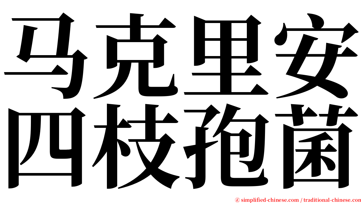 马克里安四枝孢菌 serif font