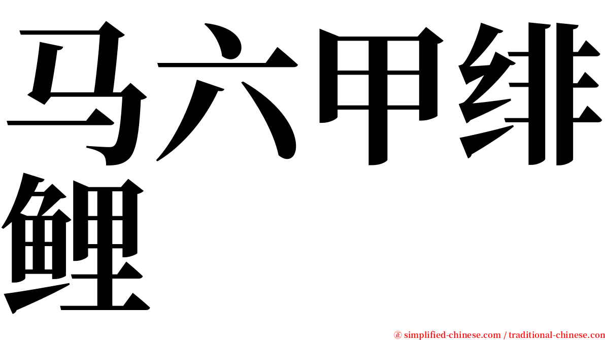 马六甲绯鲤 serif font