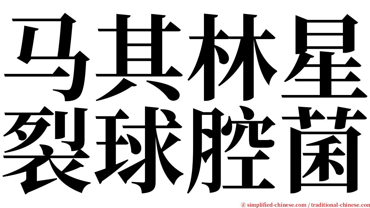 马其林星裂球腔菌 serif font