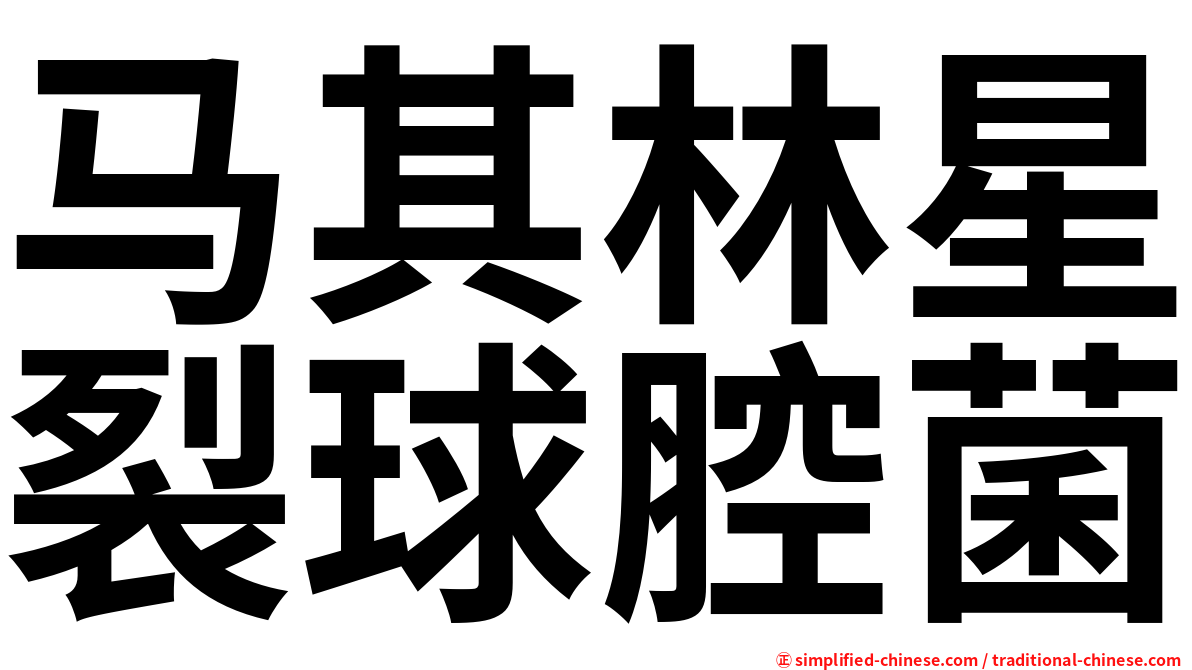 马其林星裂球腔菌