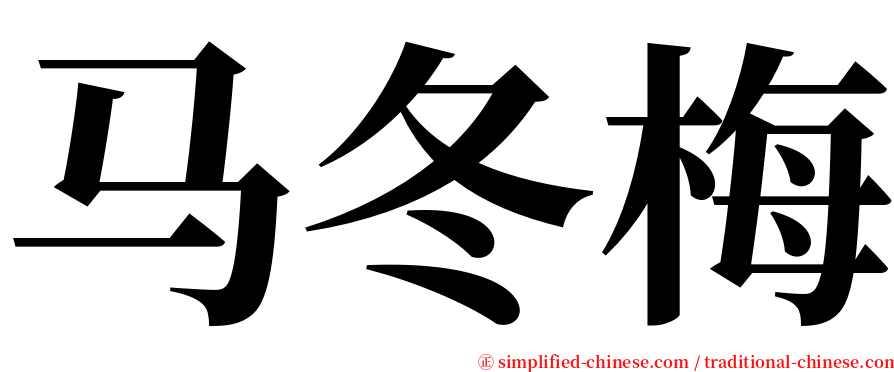马冬梅 serif font