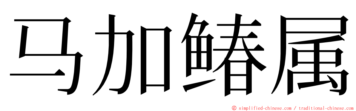 马加䲠属 ming font