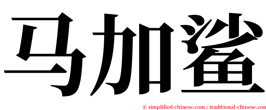 马加鲨 serif font