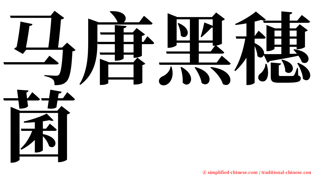 马唐黑穗菌 serif font