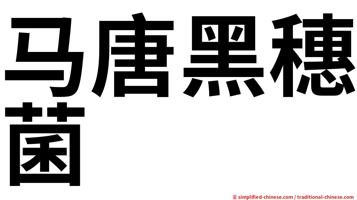 马唐黑穗菌