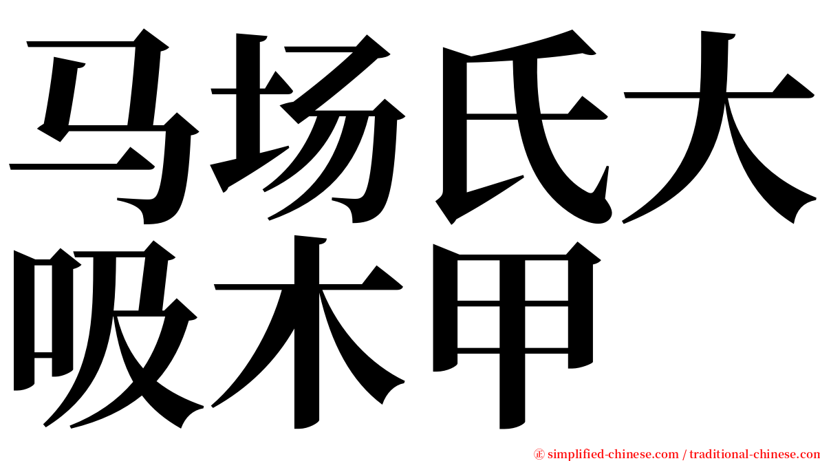 马场氏大吸木甲 serif font