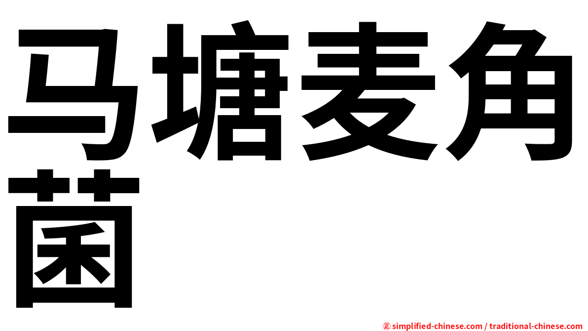 马塘麦角菌