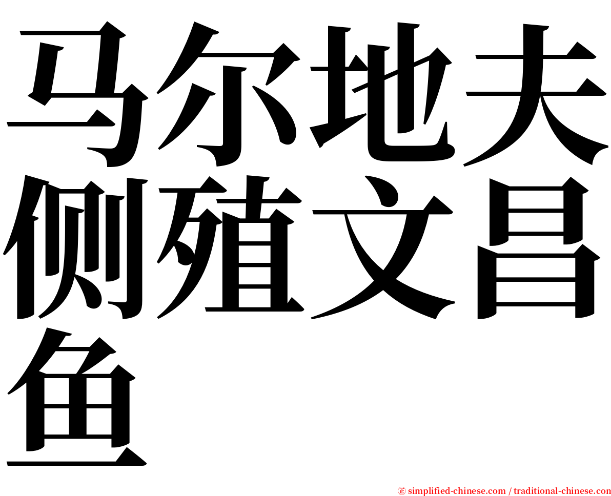 马尔地夫侧殖文昌鱼 serif font