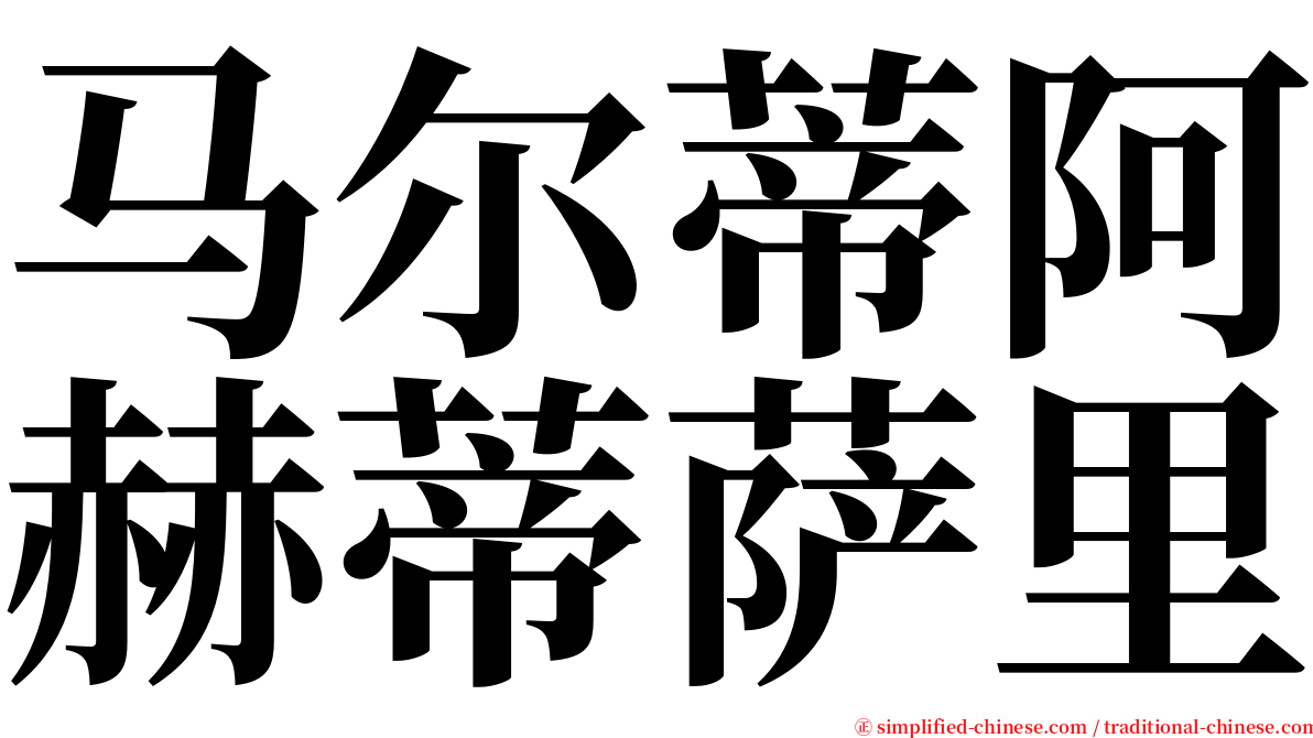 马尔蒂阿赫蒂萨里 serif font